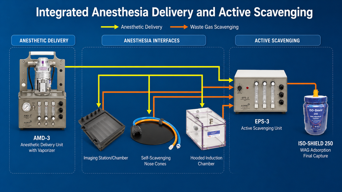 Waste Anesthetic Gas Management: Why the Entire System Matters